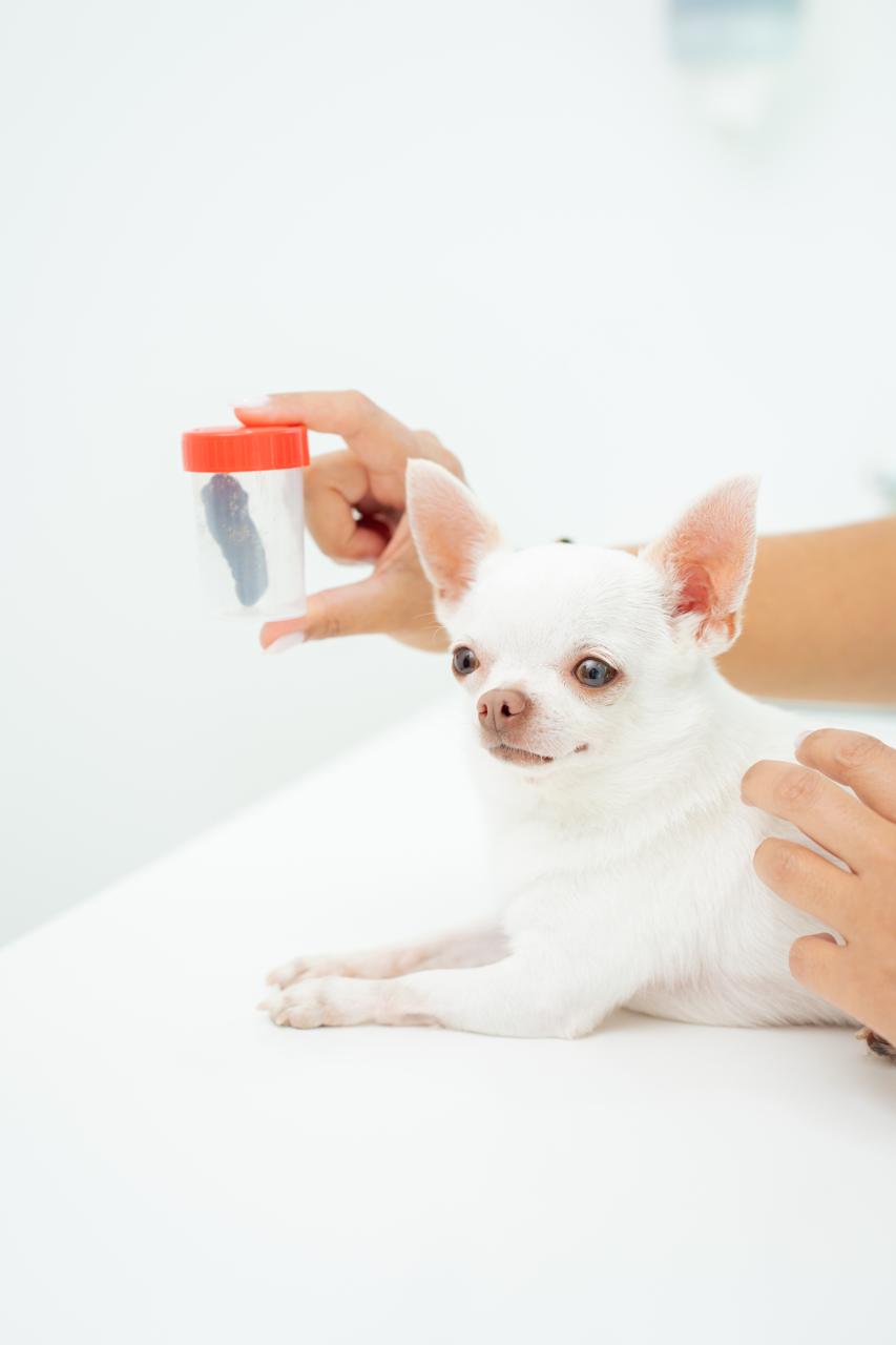 Deworming Diagnostic Kit