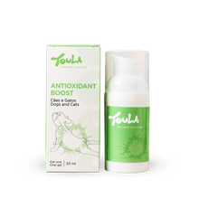 Antioxidant Boost (30 ml)