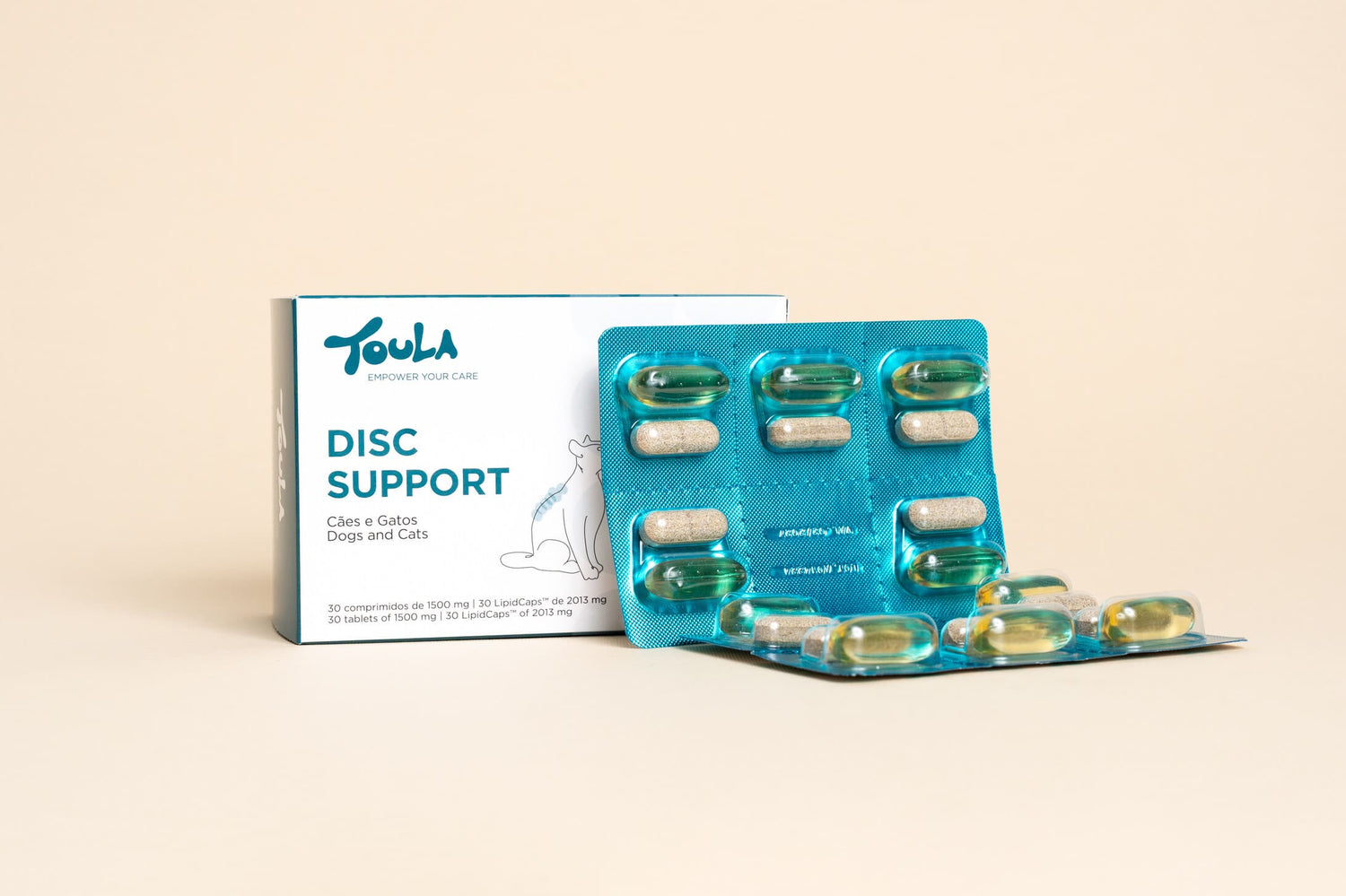 Disc Support