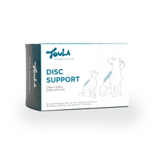 Disc Support