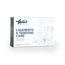 Ligaments & Tendons Care